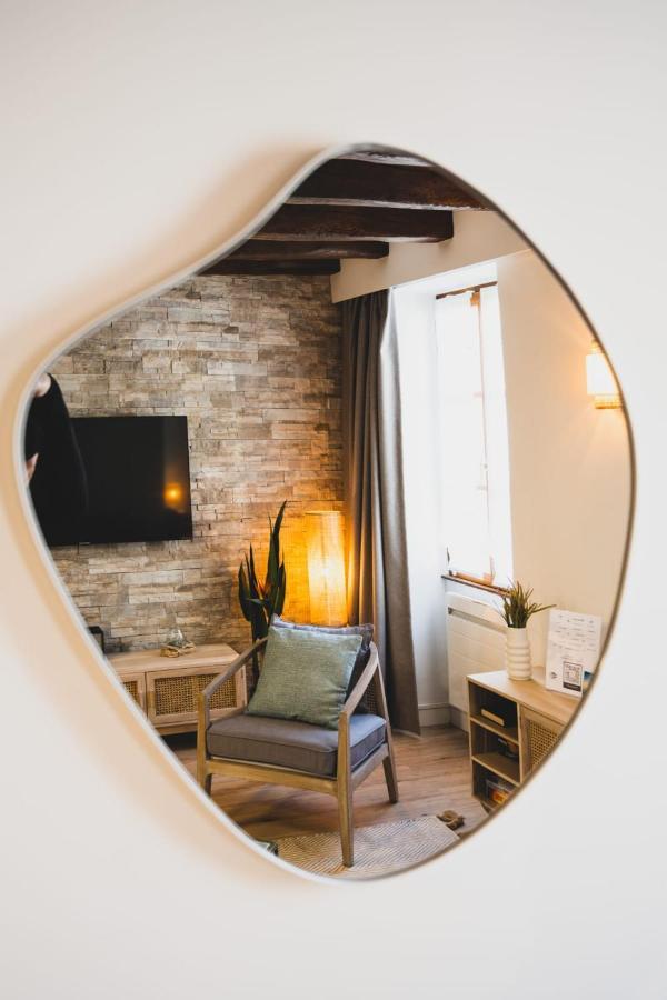Le Grenette - Appartement Pour 2 A 4 Personnes En Plein Coeur D'Annecy Bagian luar foto